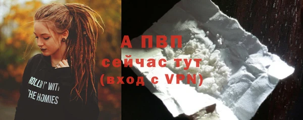 стафф Алексин