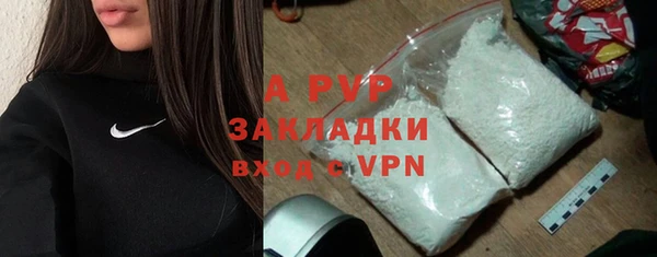 стафф Алексин