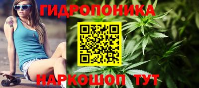 СК Анжеро-Судженск