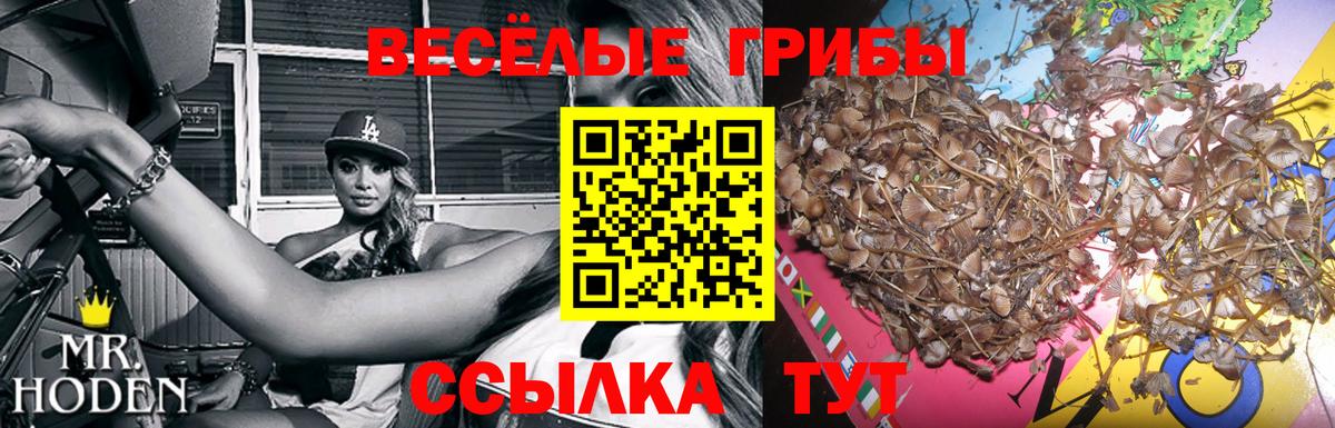 Ачинск  Псилоцибиновые грибы мухоморы  Вход с VPN  Псилоцибиновые грибы Psilocybine cubensis 