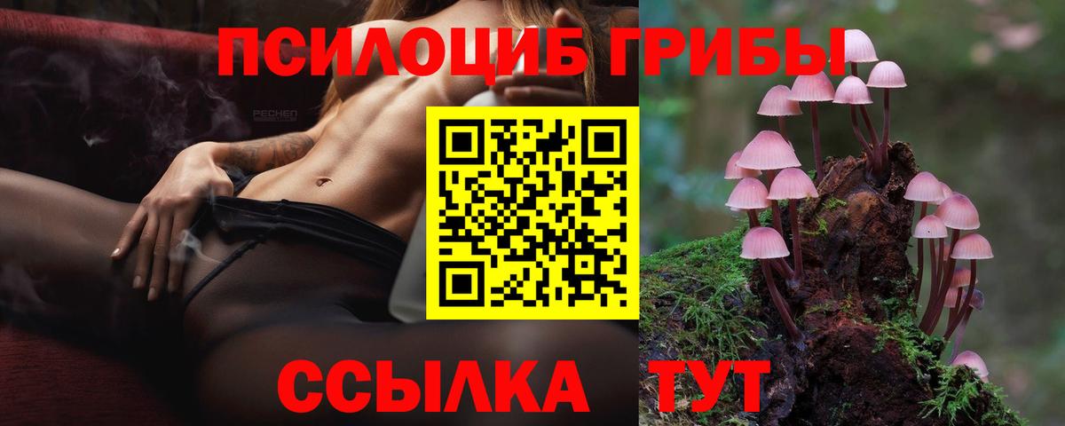 Галлюциногенные грибы прущие грибы Ачинск