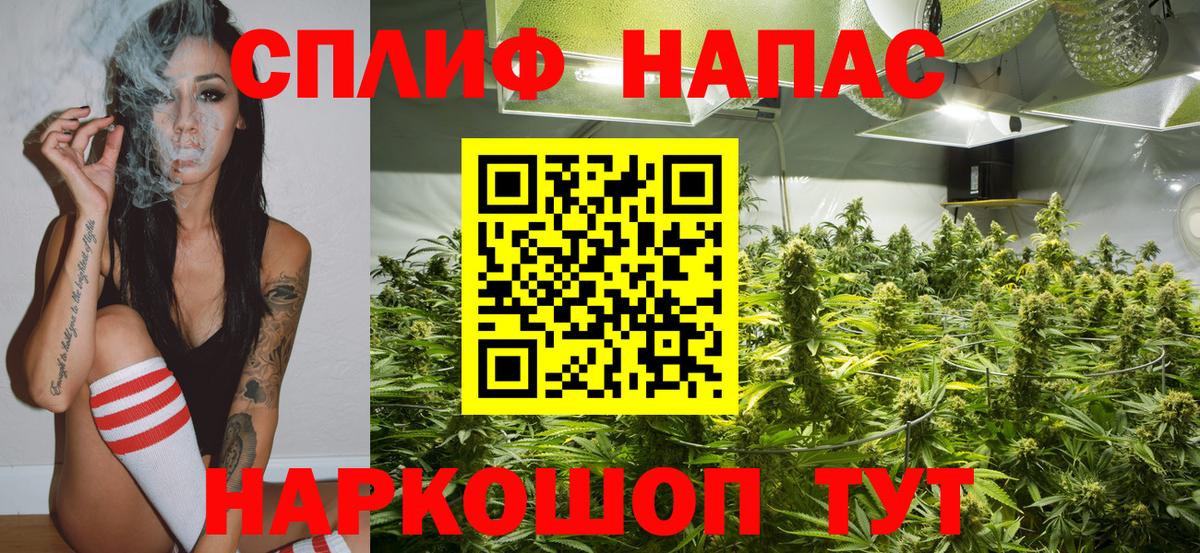Конопля SATIVA & INDICA Ачинск